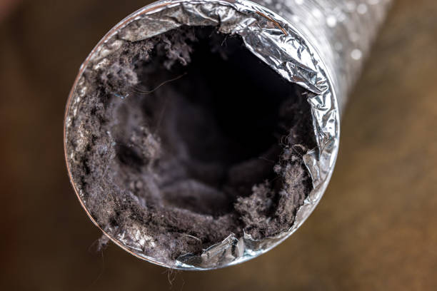 Best Residential Air Duct Cleaning  in Red Bank, TN